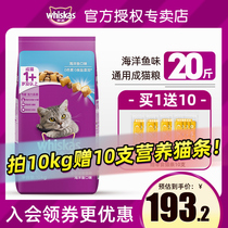 Majestic cat food 10kg optional as cat full price kitty Flagship Grain Flagship Store Official British Short Vega 7 2 10 kg