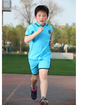 Nanjing Foreign Language School Xianlin Branch Summer Short Sleeve Shorts Boys School Uniform