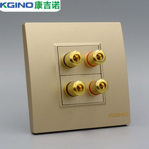 Type 86 4-hole 5 1 surround sound audio wall socket two-digit double-head speaker audio wall switch panel