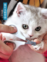 The corrupt cat pie can be a pet cat with nail clippers cleaning the beauty supplies nail clippers cat supplies