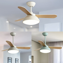Restaurant fan lamp home living room bedroom simple modern Nordic electric fan chandelier ceiling with lamp fan ceiling fan lamp
