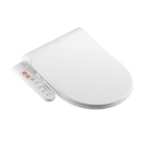 Wrigley bathroom smart toilet cover plate toilet cover automatic warm air drying electric instant Flushing AK1007