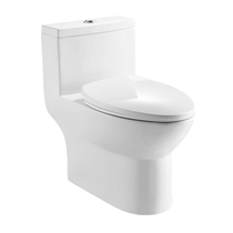 SW3091C1 Fanxi extended ceramic toilet 305 pit distance