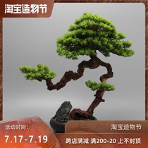 New Chinese solid wood welcome pine potted decoration living room pine cliff cypress desktop decoration Office desk green plant decoration