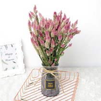 Phoenix tail dried flowers small fresh art diy bouquet real flowers home furnishings Nordic net red ins style photo decoration