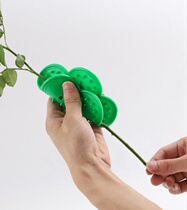 Rose to Thorn treasure plastic to Thorn bag flower flower art tools please take pictures with the flowers in the store for delivery