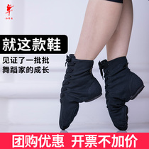 Red dance shoes Dance practice shoes Female adult soft-soled canvas jazz boots Modern dance male ballet teacher performance 1032