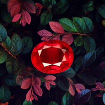 Gem Garden Brazil Natural Red Tourmalay Ruilai Ring Necklace Plain Sri Lanka Mining Live Selection