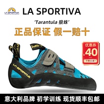 La sportiva climbing shoes Italy imported Tarantula beginner entry-level bouldering training shoes