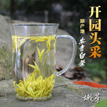 2021 Xinan Ji White tea Authentic tea Rare spring Tea boutique Bud Mingqian tea garden head pick 50g canned