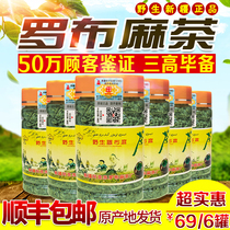 69 yuan 6 bottles of authentic wild Xinjiang Bachu Lop Hemp tea New shoots and young leaves premium health tea