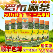 69 yuan 6 bottles of authentic wild Xinjiang Bachu Lop Hemp tea New shoots and young leaves premium health tea