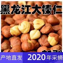 2020 New Northeast specialty cooked hazelnuts original flavor Large hazelnut kernels Pregnant women cooked nuts 500g Pine village