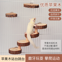 Apple wood branches Jumping Terrace Tree Stumps Suspension Bridge Stairs Honeymoons Dragon Cat Grinding Tooth Hamster Toy Squirrel Toy Squirrel Toy Squirrel