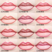 Lip line Pen Waterproof long-lasting not easy to dip cup not easy to fade lipstick brush lip brush matte fog surface hook easy to color