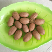 (New Product)Wild Pecan American Walnut Squirrel Parrot Tooth Pet Food