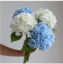 Ultra-realistic feel moisturizing hydrangea simulation flower high-grade 2020 new living room table decoration fake flower photo props