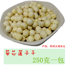 Fresh Suzhou specialty Taihu Lake Dongshan wild lotus root Lotus Seed natural dry porridge companion