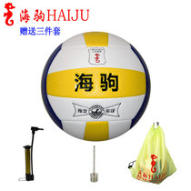 Haiju Brand needle Pattern No 5 Haiju 1110A Secondary School Examination Volleyball