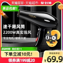 Yasuo hair dryer hair salon special large wind barber shop high power household negative ion hair care blower 17