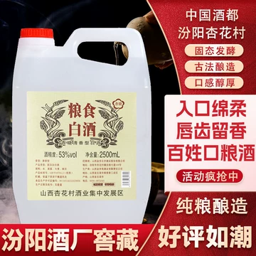 白酒 杏花村 FENJIU 475ml 53%vol 二本 【公式ショッピングサイト】