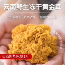 Crooked mother Yunnan wild golden ear freeze-dried golden ear yellow fungus brain ear glutinous ear dry goods specialty 60g non-fresh