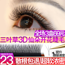 Three Leaf Grass Eyelash Graft 3D Sendo One Second Automatic Flowering Y Type Ultra Soft Water Mink 3 Leafy Grass Hair Eyelash Blooming