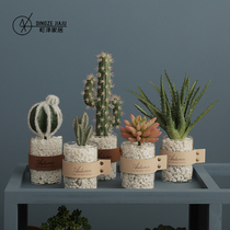 Ins net red simulation succulent plant potted decoration home living room decoration Nordic decorative cactus small bonsai