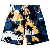 Japanese five-point surf pants beach loose Sports print shorts quick-drying beach pants mens casual tramphens
