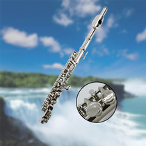 Eight-tone professional Piccolo Western musical instruments all-semi-metal children students beginner playing synthetic wood silver-plated nickel-plated