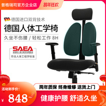 Pugres ergonomics chair computer chair home lift seat waist long sitting office chair comfortable e-sports chair