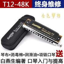 Dongfang Ding 12-hole chromatic harmonica C tune T1248K gold dreamer Professional performance Challenger 16 harmonica