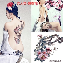 KING tattoo stickers waterproof female long-lasting plum blossom costume plate womens square studio photo studio photo Spring