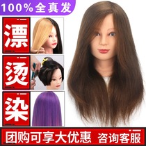 Hair Salon Full Real Hair Model Apprentice Haircut Paparazzi Heads Fake head models Head haircut fake head molars 100% real people