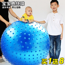 Hayu yoga ball baby childrens sensory training Big Dragon Ball 100cm baby thick fitness ball environmental protection