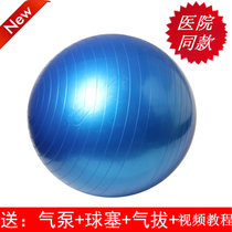 Professional rehabilitation training ball yoga ball children brain sensory system balance Pasteuria ball premature delivery big cage ball delivery cylinder