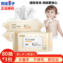 Frock Prince Baby Wet Wipes Big Bag Home Affordable Newborn Baby Boy Baby Hand Fart Special Wet Paper Towels