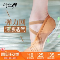 Small Jasmine elastic net lace-free dance shoes soft-soled womens practice shoes adult cat claw shoes ballet shape shoes