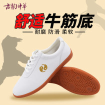 Guyun Chinese Tai Chi Shoes Women Tai Chi Sports Shoes Martial Arts Shoes Soft Leather Beef Bands Bottom Tai Chi Practice Shoes Men's Summer