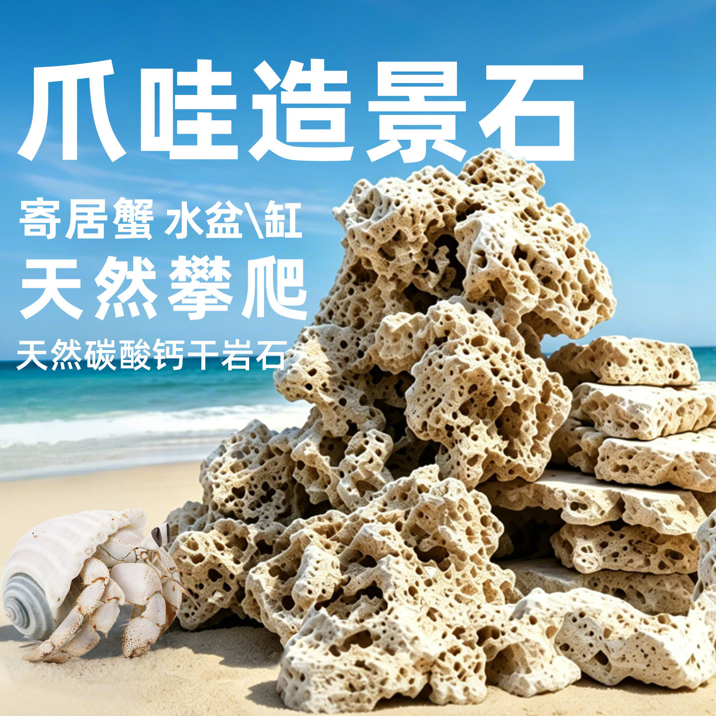 中国　玉石寿山石彫刻　蟹　置物　V　R7799B 寄居蟹石头-寄居蟹石头促销价格、寄居蟹石头品牌- 淘宝