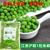 Qingtian on sweet bean 1kg Green Bean Frozen sweet pea sweet pea sweet bean kernel frozen green bean