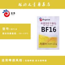Angel BF16 beer active dry yeast family workshop lager beer yeast raw material refreshing selection