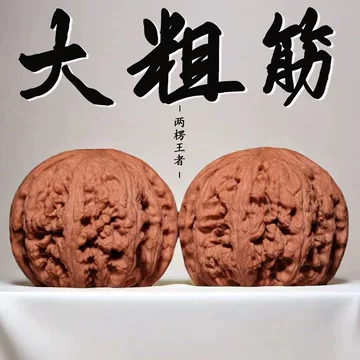 文玩核桃大粗筋-文玩核桃大粗筋促销价格、文玩核桃大粗筋品牌- 淘宝