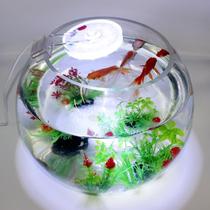 LED waterproof mini small round lamp Fish tank lighting decorative color lamp Aquatic plant landscape lamp Round cylinder special clip lamp