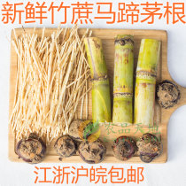 Fresh bamboo cane horseshoe root water drink combination soup herbal tea soup fresh ingredients non-dry goods Shanghai delivery