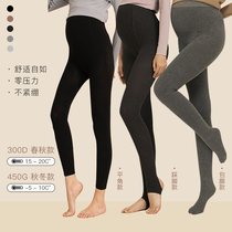 BELLYWEAR pregnant woman light leg artifact spring and autumn cashmere vertical stripe pumping cotton pregnancy stepping foot pantyhose