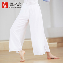 Dance love classical dance costume female elegant Chinese style dance dance practice pants Autumn white chiffon wide leg pants