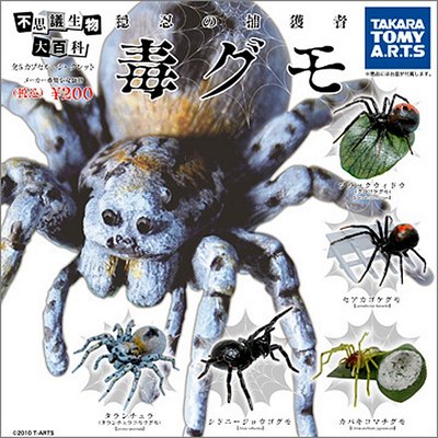 taobao agent Dumei Tomy Gacha is incredible biological Encyclopedia, Poison Spider Black Widow Wolf Red Back Spider Direb Spirit Spider