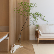 Simulation green plant hanging bell horse drunk wood indoor living room Japanese wabi-sabi bionic fake branch floor decoration decoration