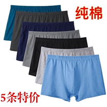 Mens underwear cotton flat corner breathable sweat-absorbing middle-aged and elderly cotton size fat guy loose dad four-corner short pants
